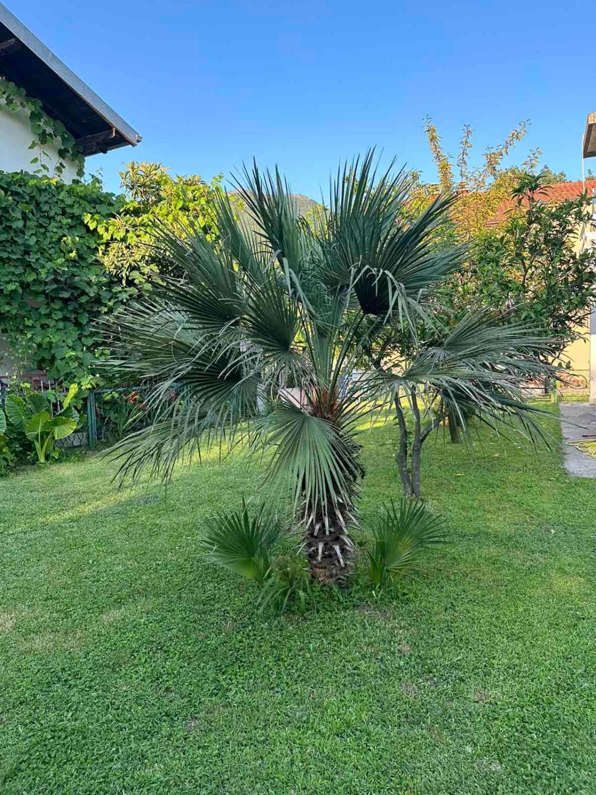 Apartmani Zelenika Herceg Novi Dış mekan fotoğraf