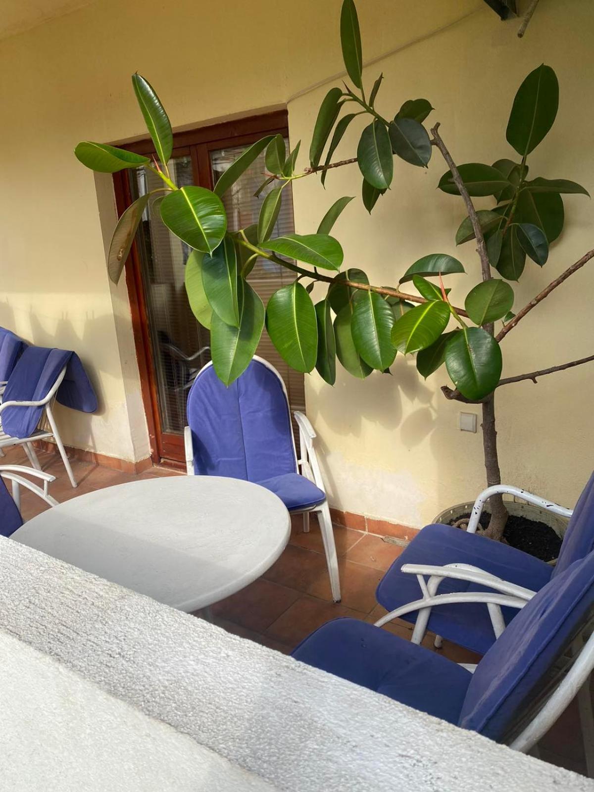 Apartmani Zelenika Herceg Novi Oda fotoğraf