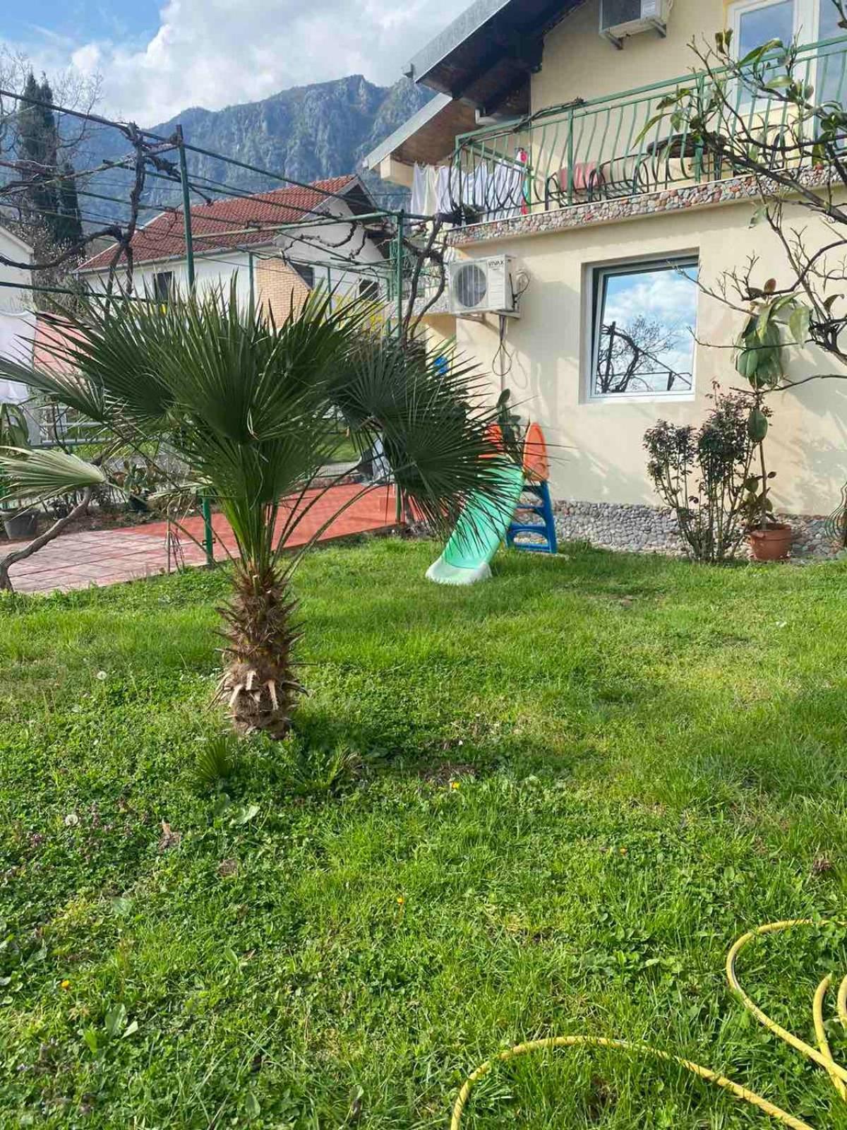 Apartmani Zelenika Herceg Novi Oda fotoğraf