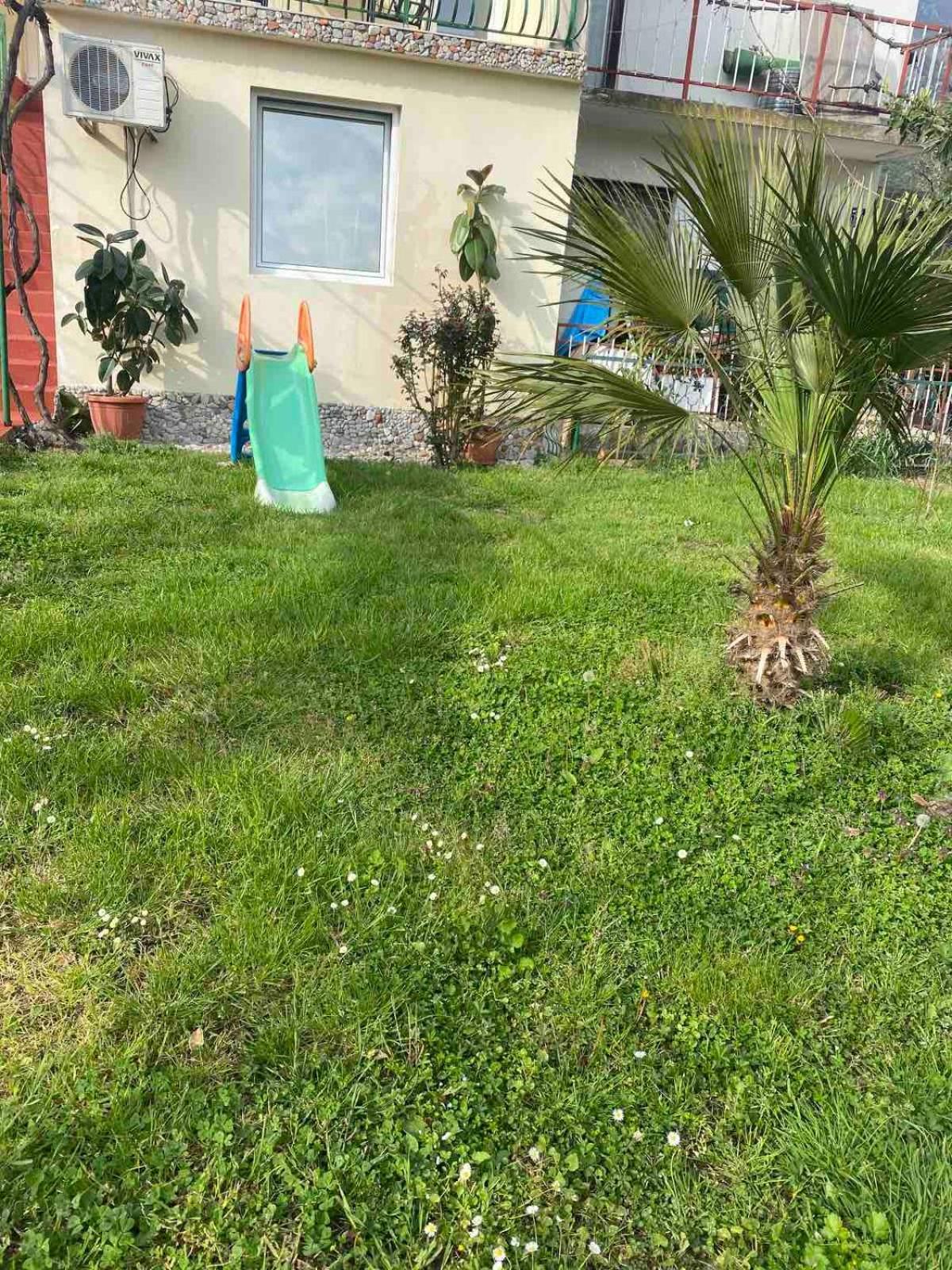 Apartmani Zelenika Herceg Novi Oda fotoğraf