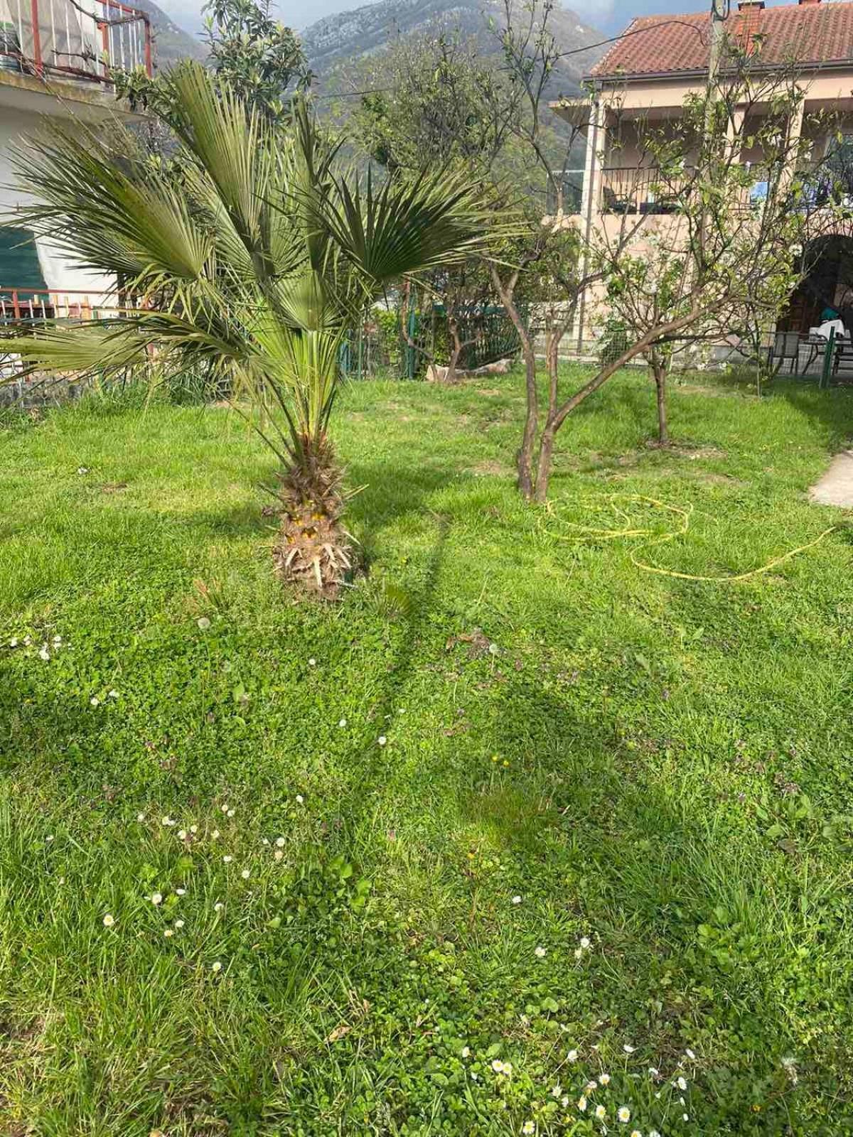 Apartmani Zelenika Herceg Novi Oda fotoğraf