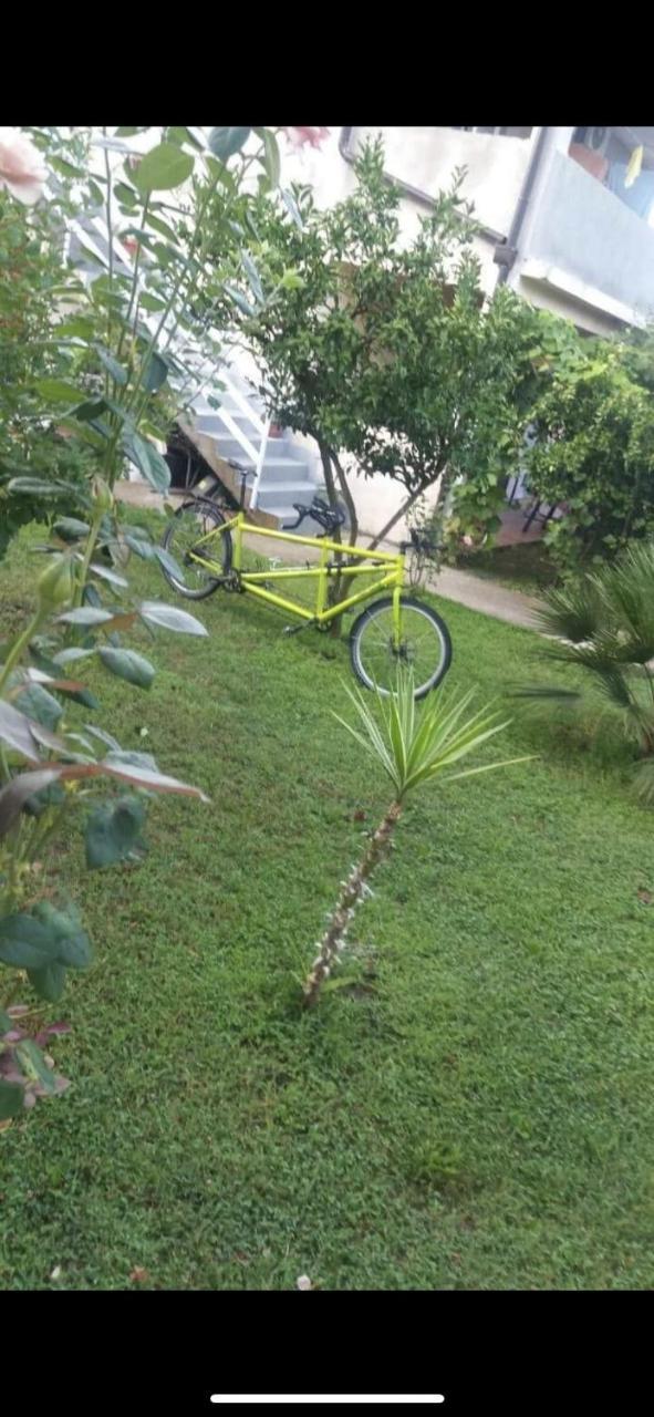 Apartmani Zelenika Herceg Novi Dış mekan fotoğraf